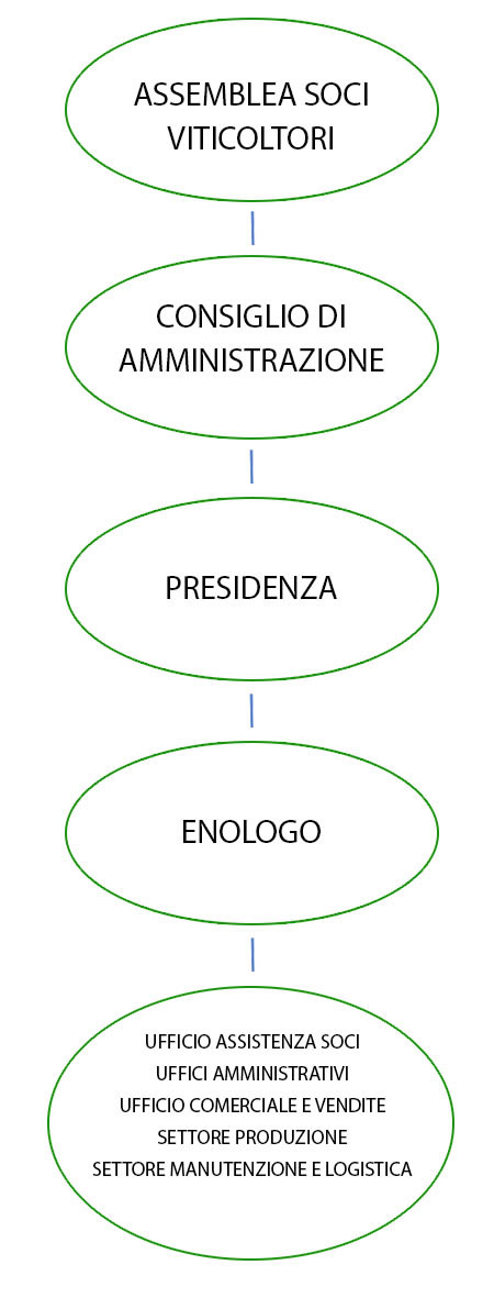 organigramma cantina