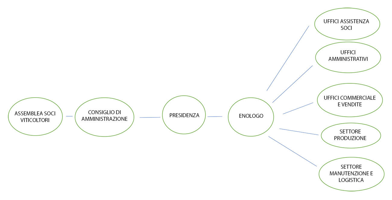 organigramma cantina